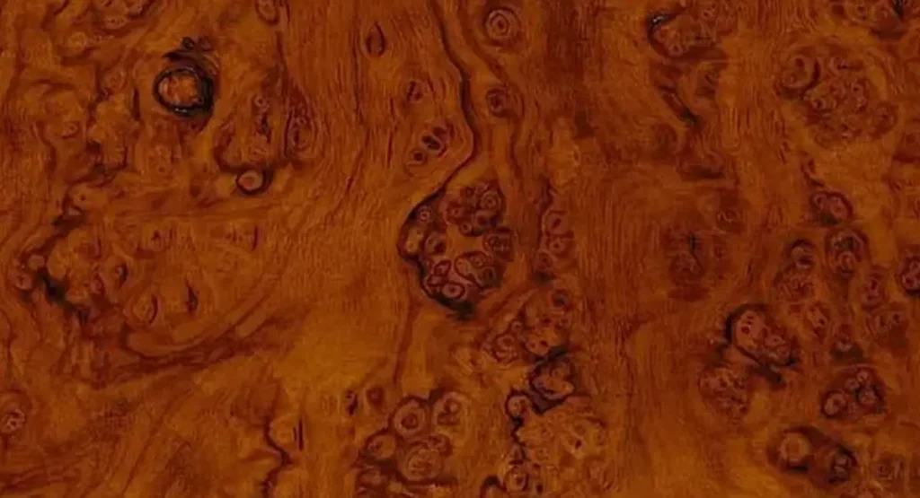 Corso di decorazione – imitazioni pittoriche di marmi ed essenze lignee del Centro Europeo del Restauro